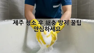 제주🏡 청소 후 해충 방지🧹 꿀팁! 안심하세요!