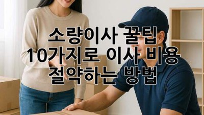 소량이사 꿀팁🍯 10가지로 이사 비용 절약하는 방법! 💰✨
