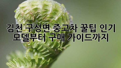 김천 구성면 중고차 꿀팁🍯: 인기 모델부터 구매 가이드까지!